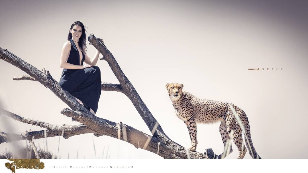 Nel 2014  uscito un calendario dove la Fenninger posa con un leopardo. Da l il casco maculato usato nella gara di oggi. Internet